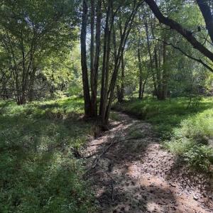 Photo #22 of 7809 Thomas, Stokesdale, NC 26.0 acres