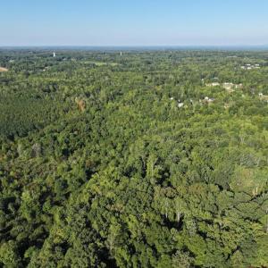 Photo #5 of 7809 Thomas, Stokesdale, NC 26.0 acres