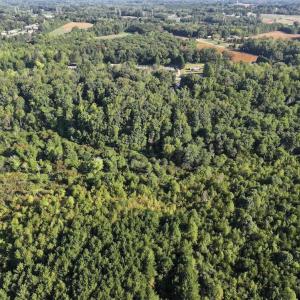 Photo #9 of 7809 Thomas, Stokesdale, NC 26.0 acres