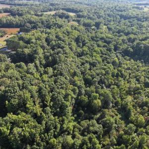 Photo #10 of 7809 Thomas, Stokesdale, NC 26.0 acres