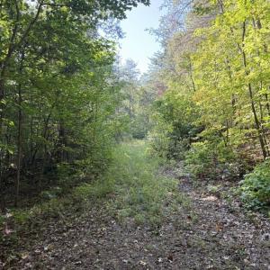Photo #15 of 7809 Thomas, Stokesdale, NC 26.0 acres