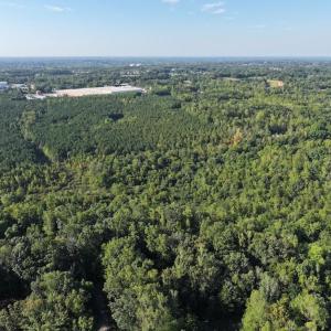 Photo #4 of 7809 Thomas, Stokesdale, NC 26.0 acres