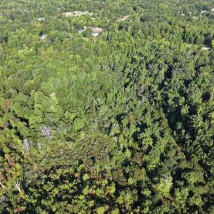 Photo #8 of 7809 Thomas, Stokesdale, NC 26.0 acres