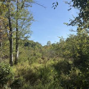 Photo #25 of 7809 Thomas, Stokesdale, NC 26.0 acres