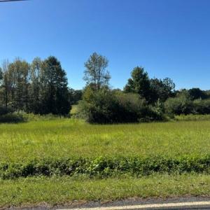 Photo #3 of 8511 Rocky River, Oakboro, NC 22.5 acres