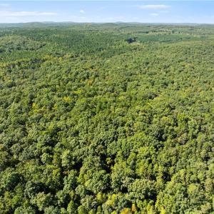 Photo #6 of New Hope, Denton, NC 77.0 acres