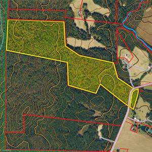 Photo #13 of New Hope, Denton, NC 77.0 acres