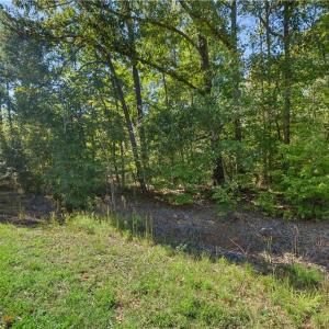 Photo #12 of New Hope, Denton, NC 77.0 acres