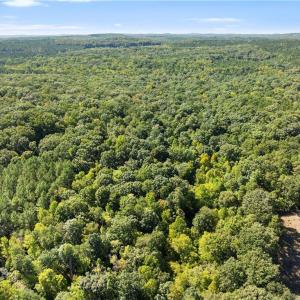 Photo #3 of New Hope, Denton, NC 77.0 acres