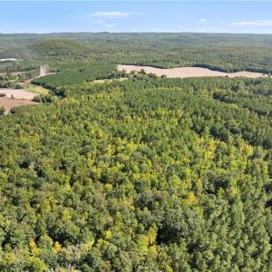 Photo #5 of New Hope, Denton, NC 77.0 acres