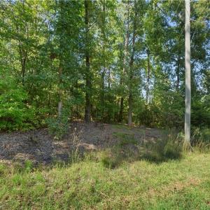 Photo #11 of New Hope, Denton, NC 77.0 acres