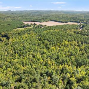 Photo #4 of New Hope, Denton, NC 77.0 acres