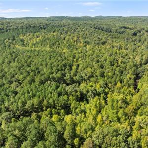 Photo #2 of New Hope, Denton, NC 77.0 acres