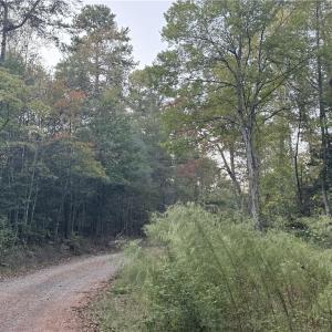 Photo #17 of New Hope, Denton, NC 77.0 acres