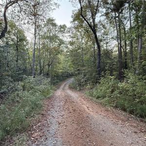 Photo #16 of New Hope, Denton, NC 77.0 acres