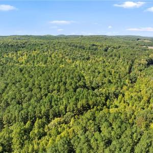 Photo #7 of New Hope, Denton, NC 77.0 acres