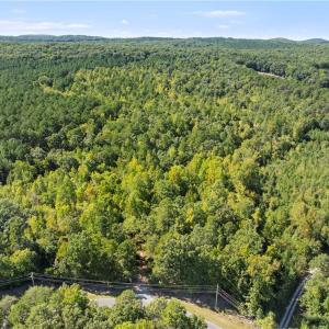 Photo #1 of New Hope, Denton, NC 77.0 acres
