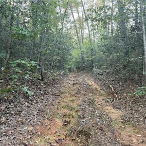 Photo #18 of New Hope, Denton, NC 77.0 acres