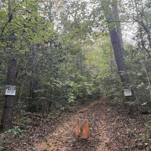 Photo #19 of New Hope, Denton, NC 77.0 acres