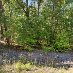 Photo #8 of New Hope, Denton, NC 77.0 acres