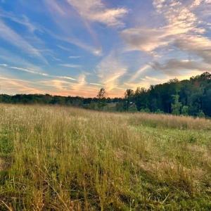 Photo #2 of 8919 TUCKERWOOD, Kernersville, NC 9.3 acres