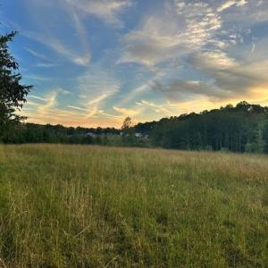 Photo #6 of 8919 TUCKERWOOD, Kernersville, NC 9.3 acres