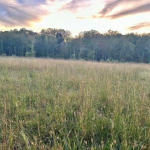Photo #7 of 8919 TUCKERWOOD, Kernersville, NC 9.3 acres
