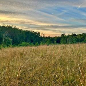 Photo #3 of 8919 TUCKERWOOD, Kernersville, NC 9.3 acres