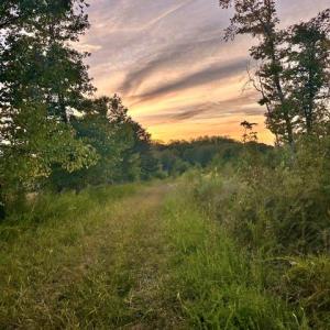 Photo #1 of 8919 TUCKERWOOD, Kernersville, NC 9.3 acres