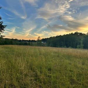 Photo #5 of 8919 TUCKERWOOD, Kernersville, NC 9.3 acres