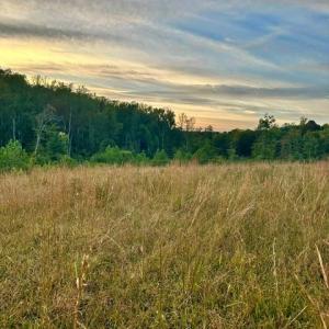 Photo #4 of 8919 TUCKERWOOD, Kernersville, NC 9.3 acres