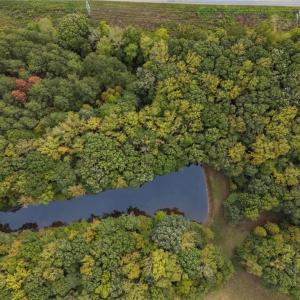 Photo #9 of McCoy, Reidsville, NC 11.5 acres