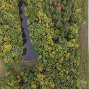 Photo #10 of McCoy, Reidsville, NC 11.5 acres