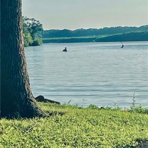 Photo #11 of 1594 Riverview, Lexington, NC 0.2 acres