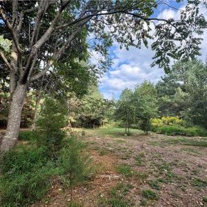 Mixture of cleared and wooded land maintains privacy with minimal clearing for building and easy access to walk the land.