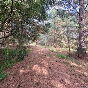 Mixture of cleared and wooded land maintains privacy with minimal clearing for building and easy access to walk the land.