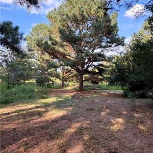 Mixture of cleared and wooded land maintains privacy with minimal clearing for building and easy access to walk the land.