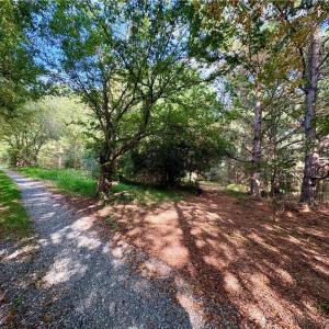 Pull off gravel road (Tree Frog Trail) onto semi-cleared parking area to enter land.