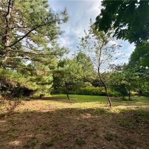 Mixture of cleared and wooded land maintains privacy with minimal clearing for building and easy access to walk the land.