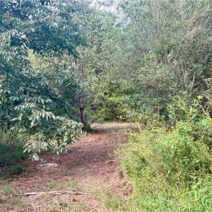 Mixture of cleared and wooded land maintains privacy with minimal clearing for building and easy access to walk the land.