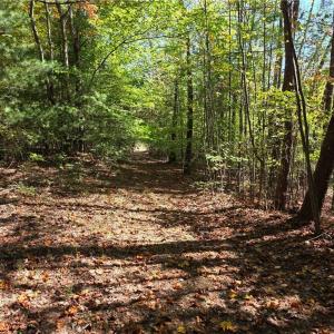 Photo #7 of 1198 Jackson, Westfield, NC 10.0 acres