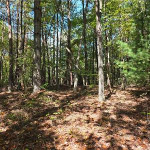 Photo #5 of 1198 Jackson, Westfield, NC 10.0 acres