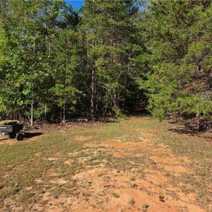 Photo #4 of 1198 Jackson, Westfield, NC 10.0 acres