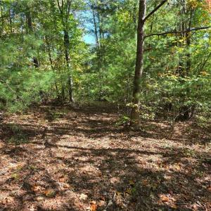 Photo #8 of 1198 Jackson, Westfield, NC 10.0 acres
