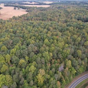Photo #3 of Ralph Ratledge, Mocksville, NC 76.6 acres
