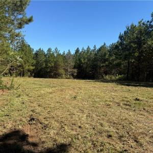 Photo #6 of 1034 Paschal, Yanceyville, NC 12.4 acres