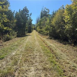 Photo #5 of 1034 Paschal, Yanceyville, NC 12.4 acres