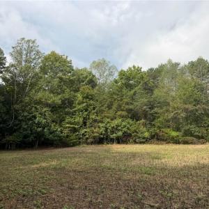 Photo #27 of 6700 Lot 25+/- Acres Doral, Tobaccoville, NC 25.0 acres