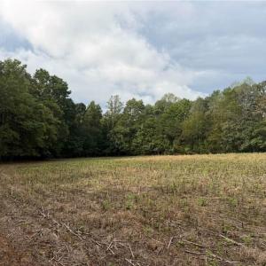 Photo #6 of 6700 Lot 25+/- Acres Doral, Tobaccoville, NC 25.0 acres