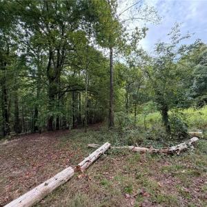 Photo #16 of 6700 Lot 25+/- Acres Doral, Tobaccoville, NC 25.0 acres